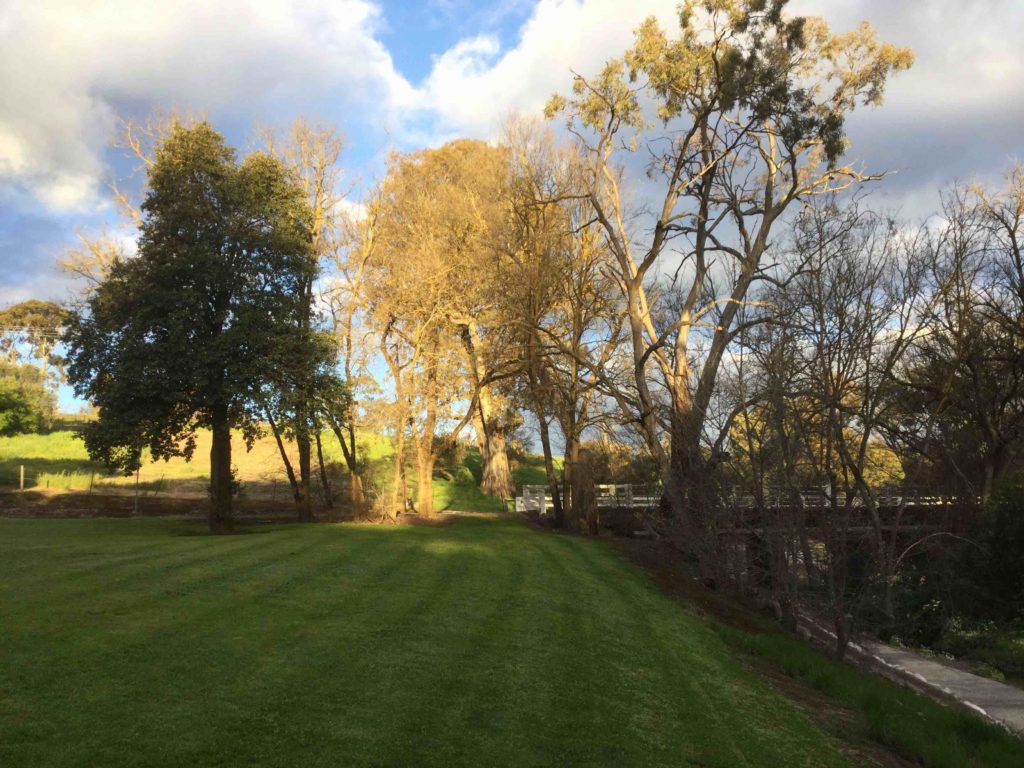 Opposite the Barossa White House